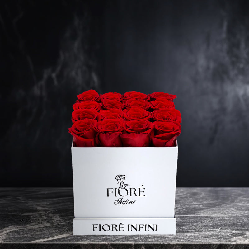 Birthday Gifts under $299