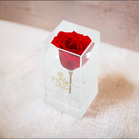 single forever red rose in an acrylic box