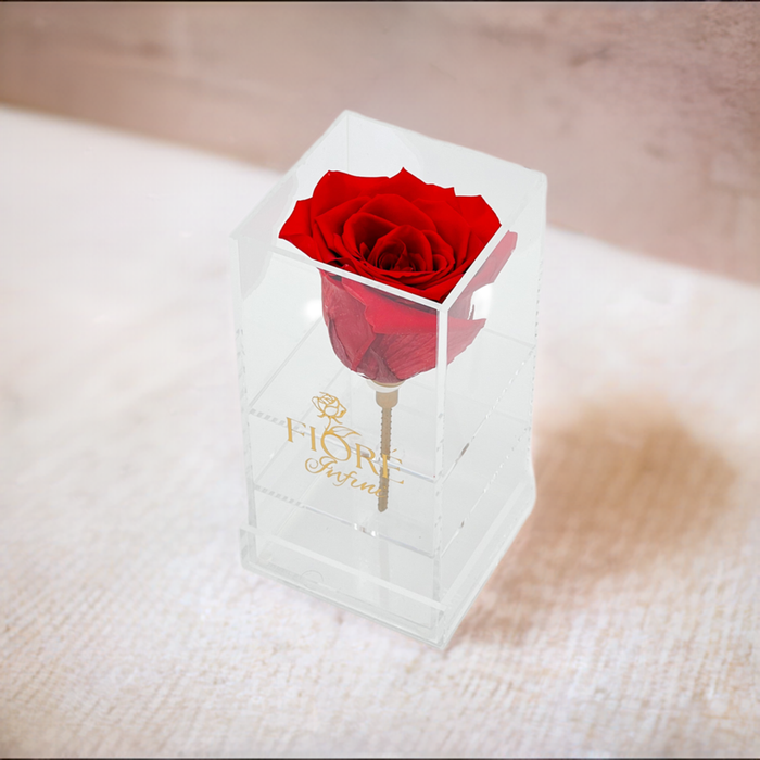 single forever red rose in an acrylic box