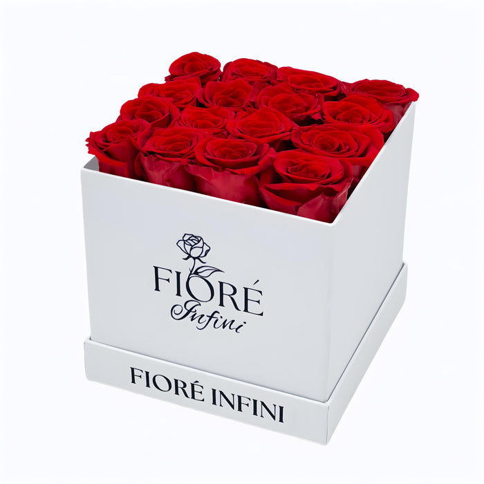 red roses in square white box by Fiore Infini