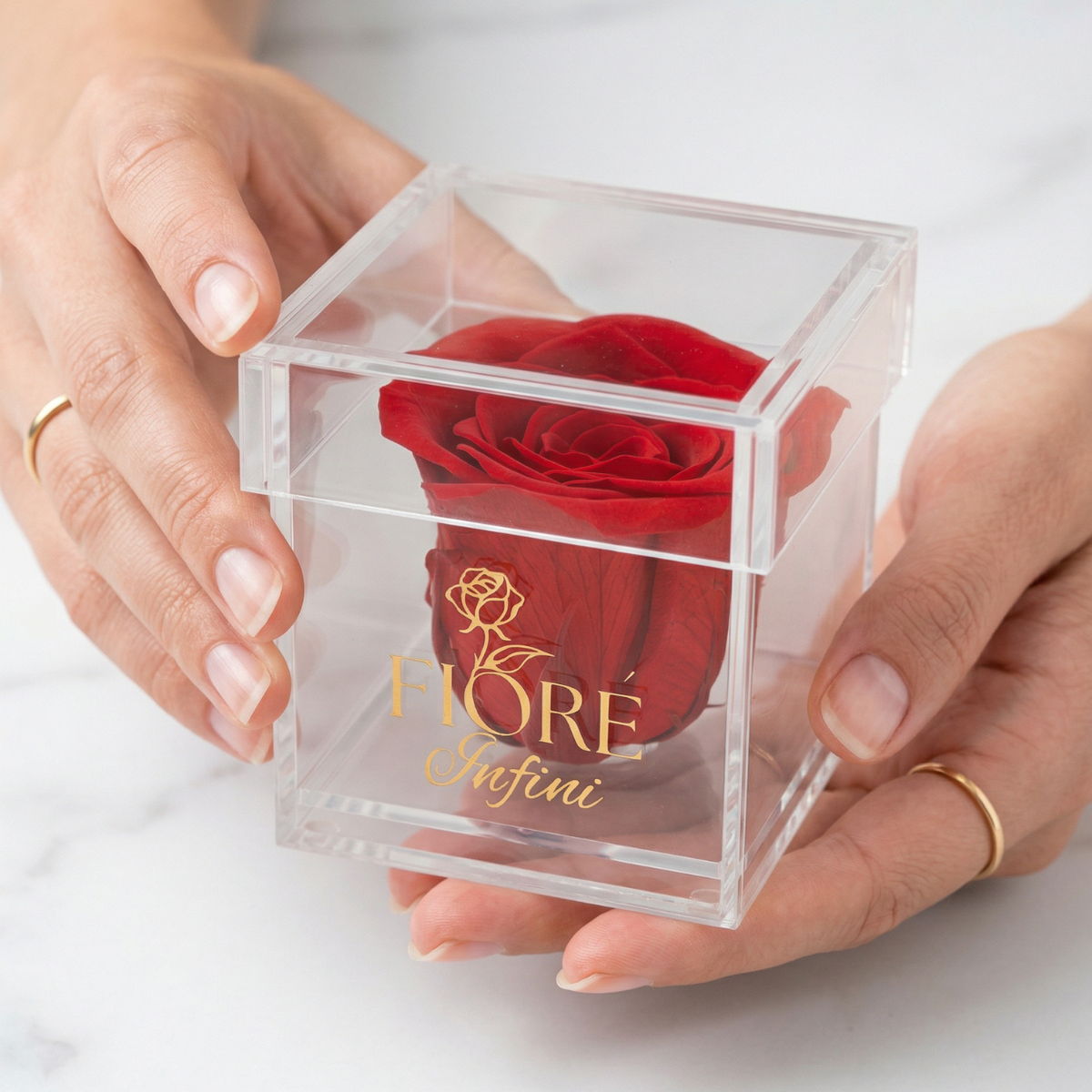 lady holding a single preserved red rose in acrylic clear box